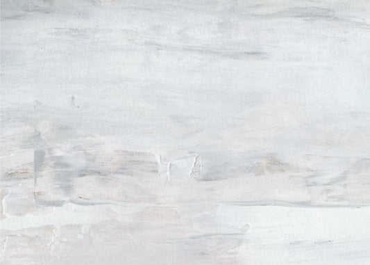 Serene Mist | Canvas