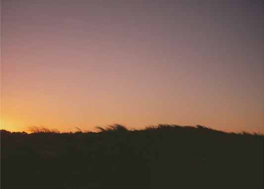 Duingras zonsondergang horizontaal | Canvas