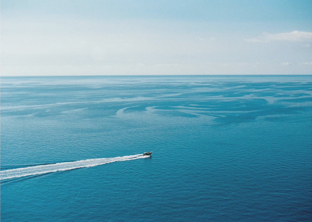 De Grote Blauwe | Canvas
