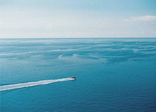 De Grote Blauwe | Canvas