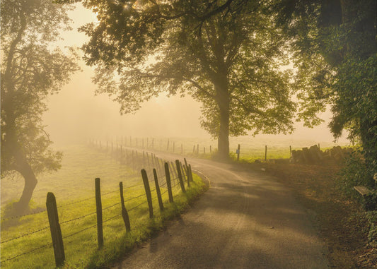 Ochtendwandeling | Achtergrond