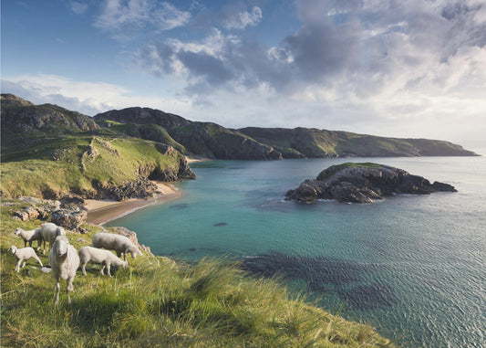Irish Coast | Wallpaper