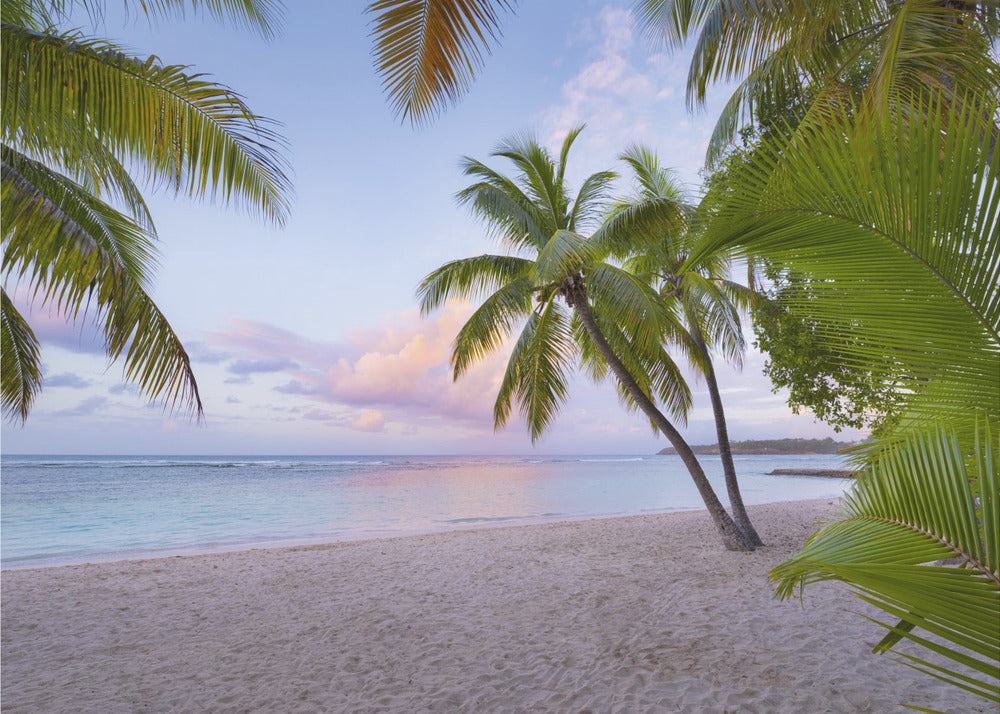 Tropisch strand | Behang