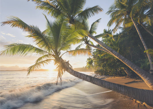Paradise Shore | Canvas
