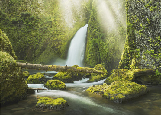 Green Gorge | Canvas
