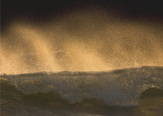 Spetter | Canvas