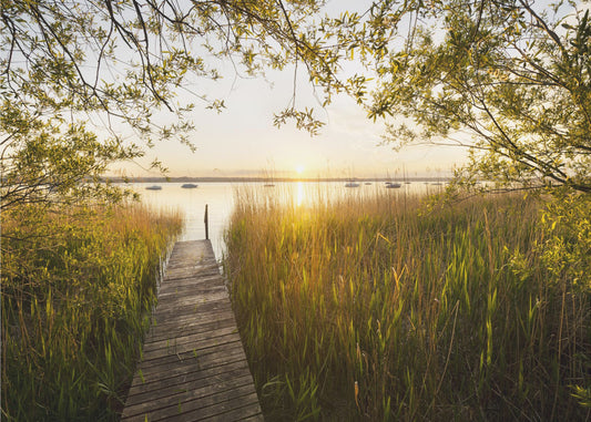 Golden Jetty | Wallpaper