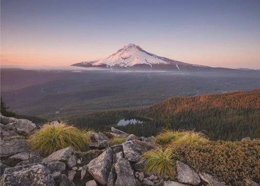 Mount Hood | Wallpaper