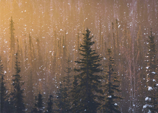 Snow Flakes | Wallpaper