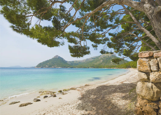 Strandvakantie | Poster