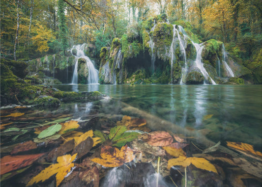 Herfst valt | Poster