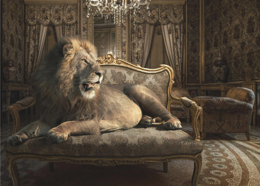 PalazzoLion | Behang