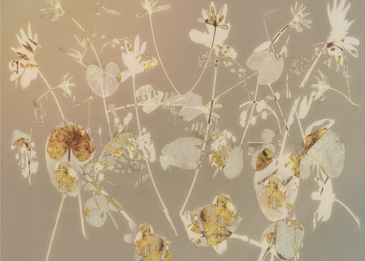 Vrolijke bloemen | Canvas