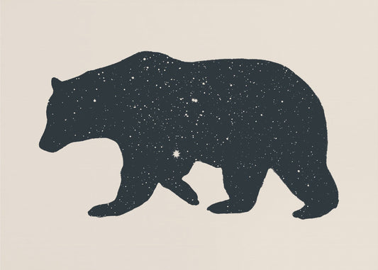 Bär | Canvas