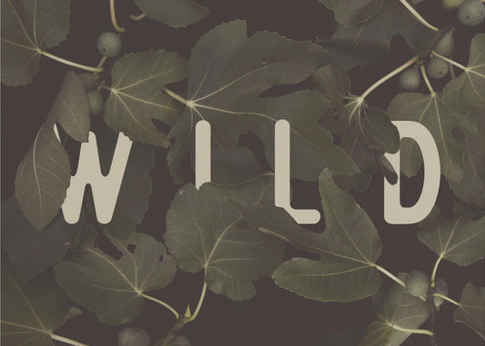 Wild nr. 2 | Canvas