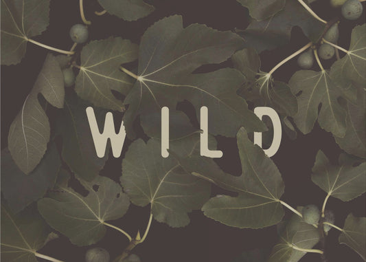 Wild nr. 1 | Canvas