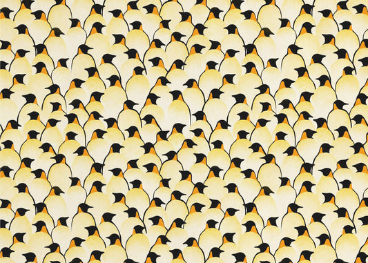 Pinguïns | Poster