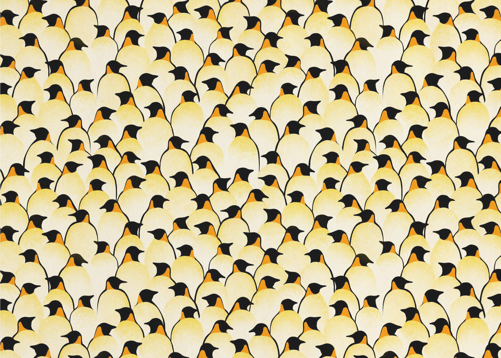 Pinguïns | Canvas