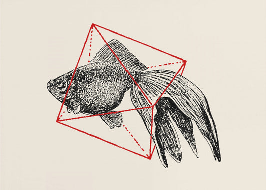 Vis in de geometrie nr. 3 | Poster