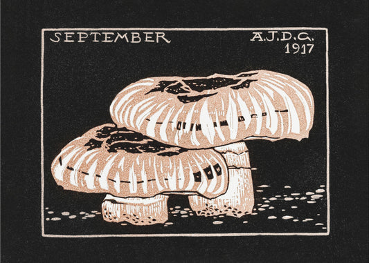 September 1917 | Doek