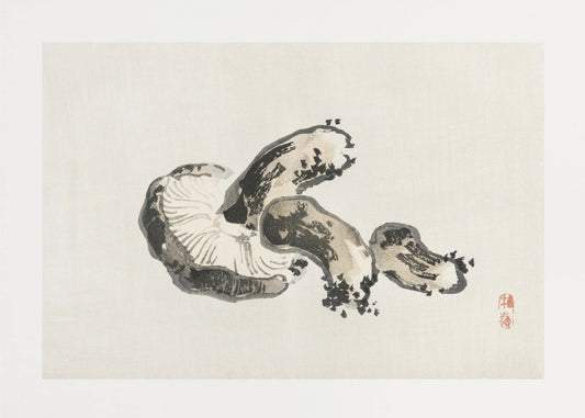 Shiitake-paddenstoel | Canvas