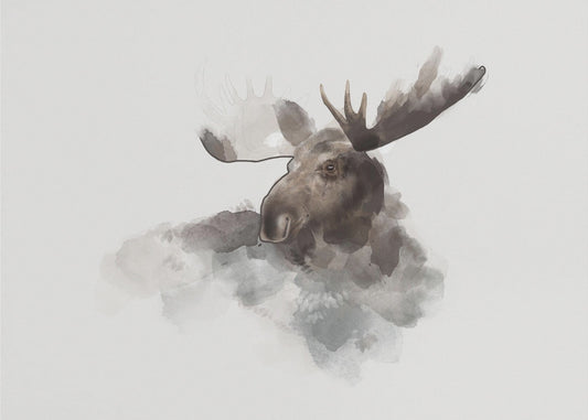 Eland | Poster