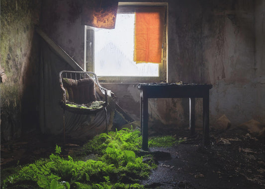 Planten op een rij | Canvas