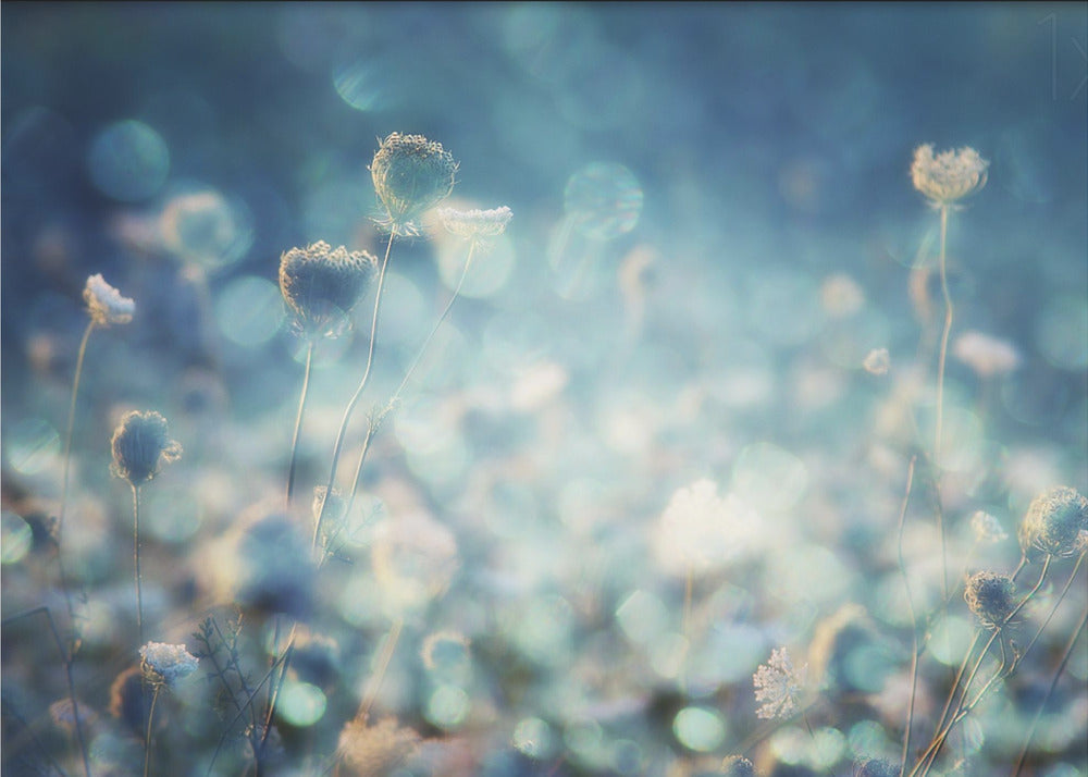 Diamanten | Canvas