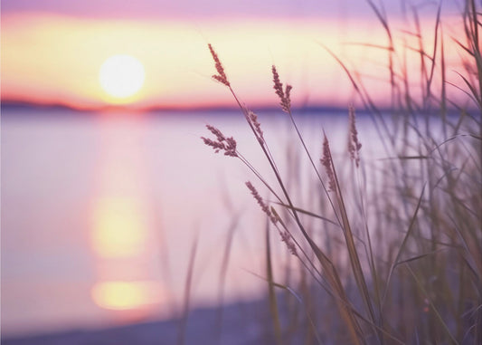 Serene Sunset Glow | Wallpaper