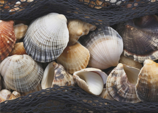 Seashell Tapestry | Wallpaper