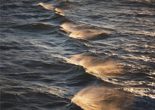 Sunkissed Waves | Poster