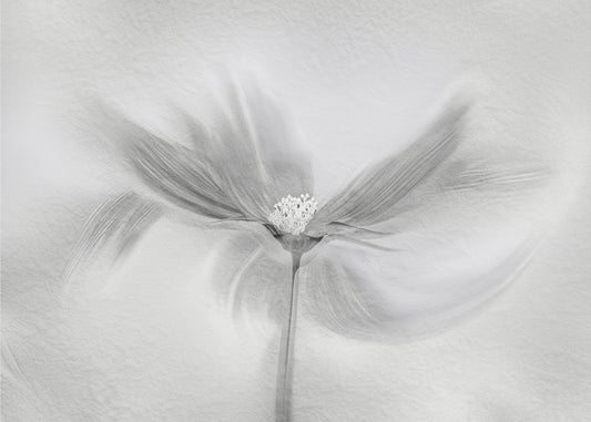 Dansende Kosmos | Canvas