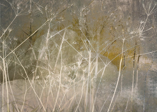 Bloei over | Canvas