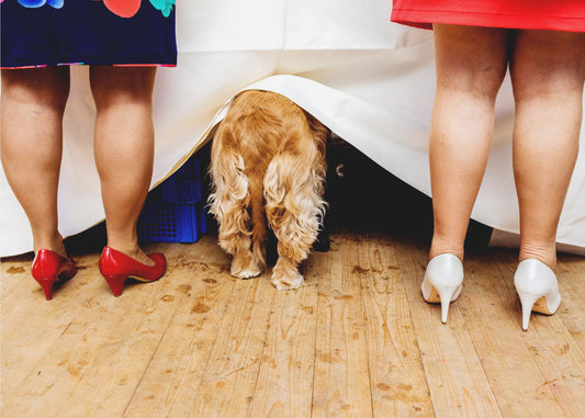 Dames aan de buffet tafel... | Wallpaper