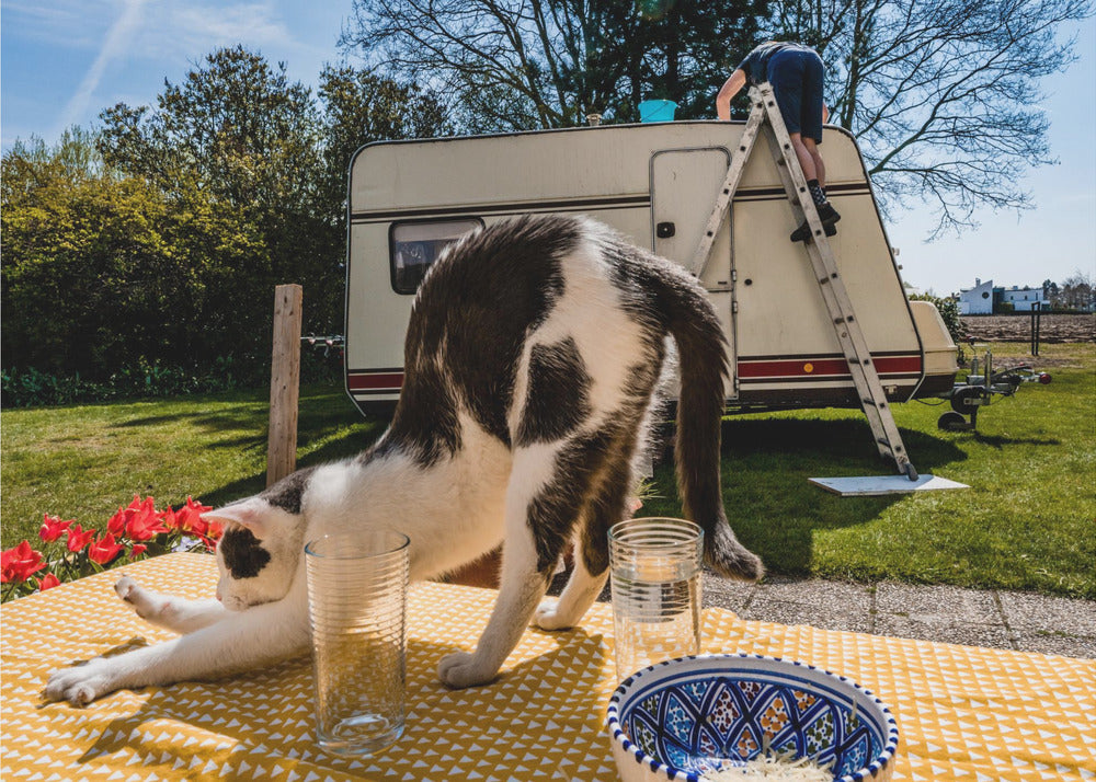 Soortgelijke poses... | Achtergrond