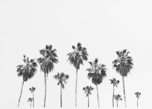 Swaying Palms | Poster