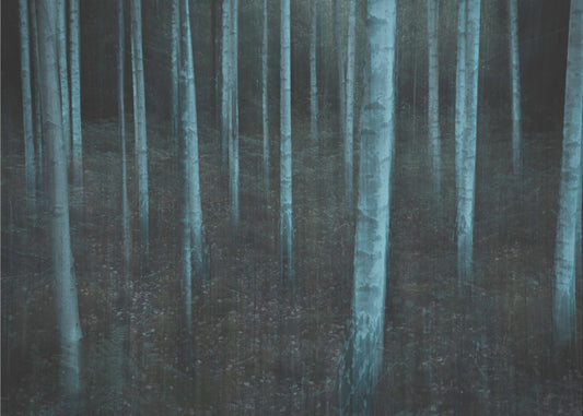 ICM v3 | Achtergrond