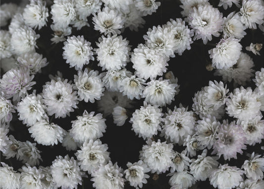 Tiny Flowers 3 | Poster