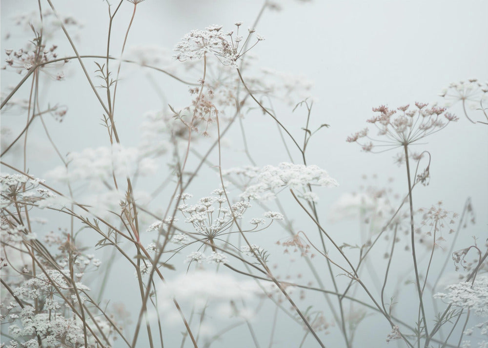 Zomermomenten 12 | Achtergrond