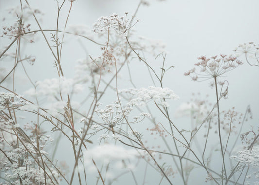 Zomermomenten 12 | Achtergrond