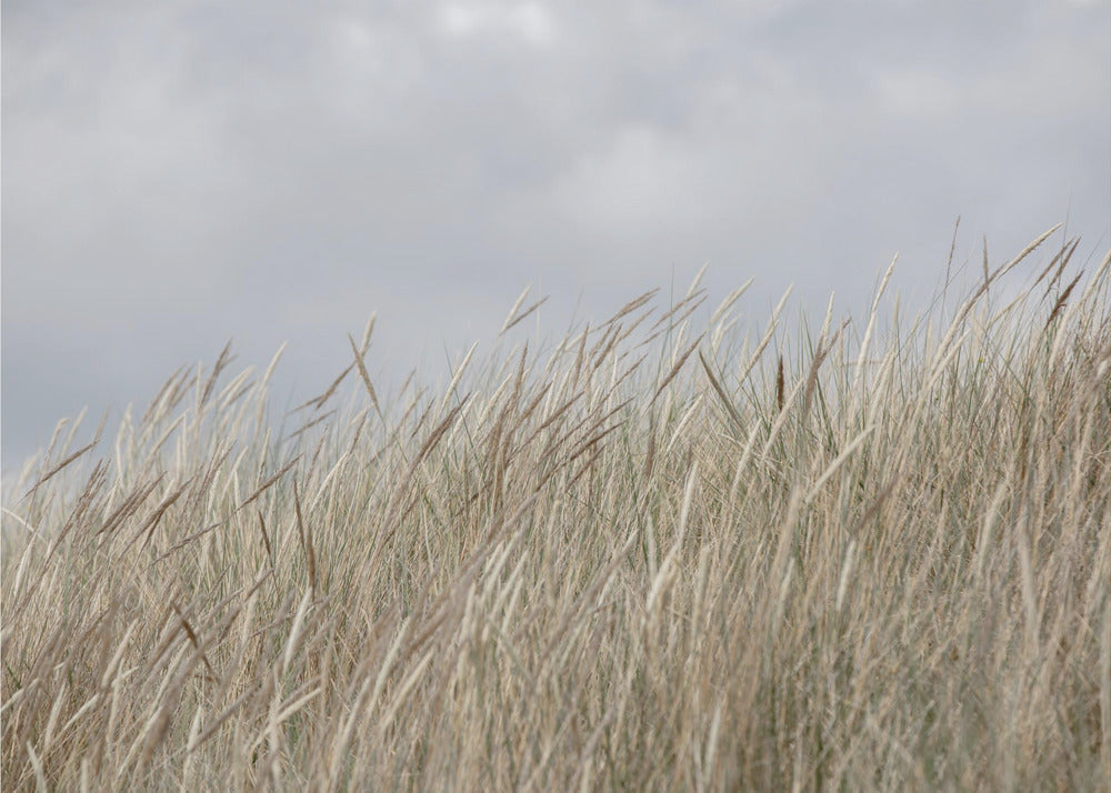 Duinen en wolken | Behang