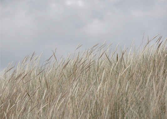 Duinen en wolken | Behang