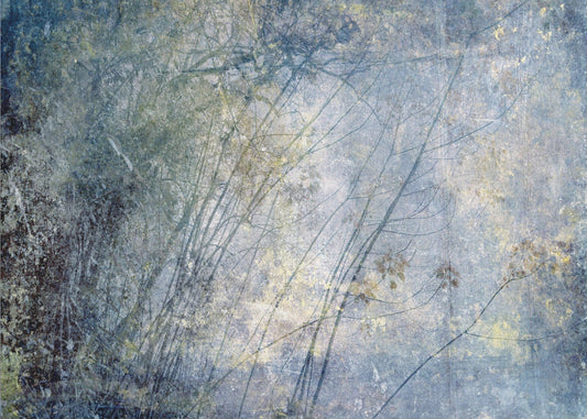 Hoge Sierra I | Canvas