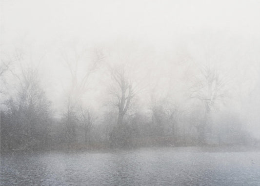 Mistig landschap | Poster
