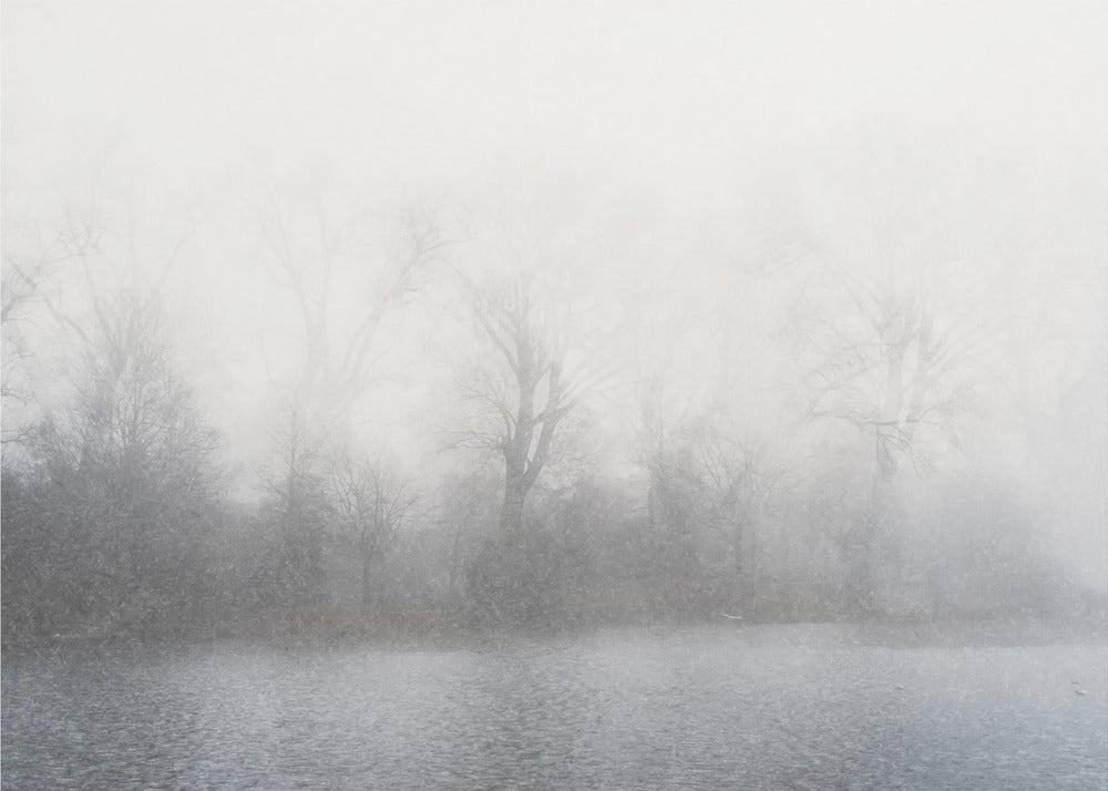 Mistig landschap | Canvas