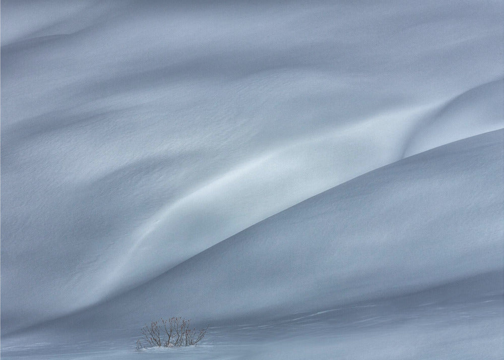 pistes in de winter | Poster