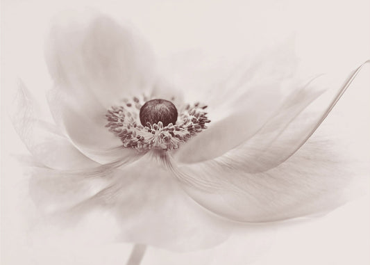 Nostalgie | Canvas