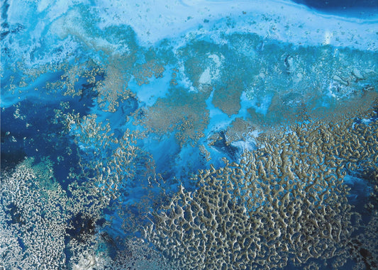 Coastal art - Revitalize | Canvas