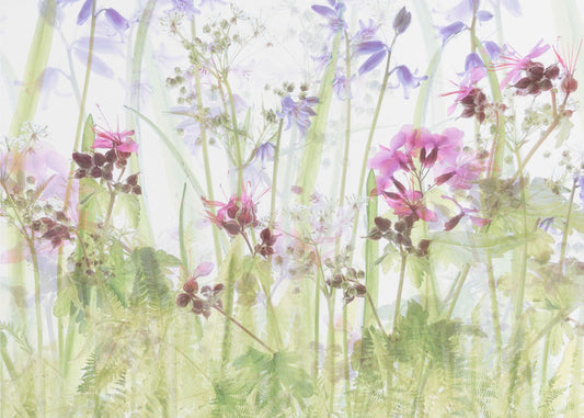 Tussen het gras | Canvas