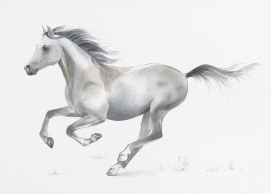 Dynamische gratie van een galopperend paard | Canvas